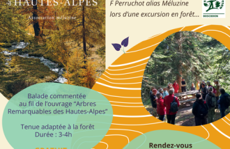 Balade au fil de l'ouvrage Arbres remarquables des Hautes-Alpes