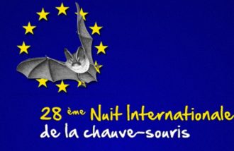 Nuit internationale de la chauve-souris avec Natura 2000