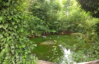 Balade commentée : les trésors des canaux d'irrigation traditionnelle - Circuit autour des Naïs