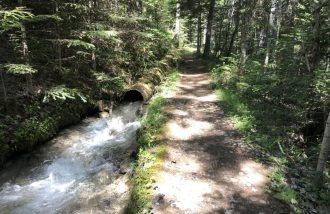 Sortie au fil de l'eau du canal de Gramorel