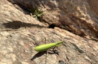 Enquête animée : la carrière oubliée