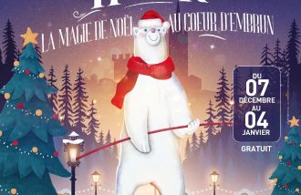 FEST'HIVER, animations de noël