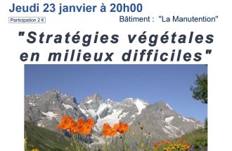 CONFERENCE : "Les stratégies végétales en milieux difficiles"