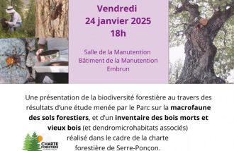 Conférence : les forêts de Serre Ponçon à la loupe !