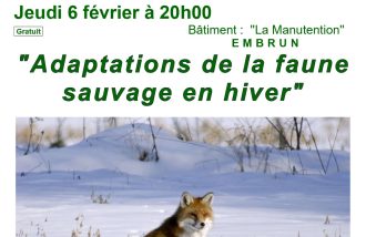 Conférence "Adaptations de la faune sauvage en hiver"