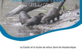 Conférence sur le castor et la loutre