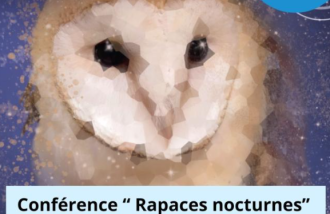 Nuits de la Chouette : conférence "Les rapaces nocturnes"